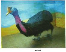 Kasuari