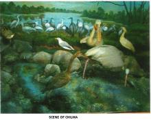 Scene of chilika lake